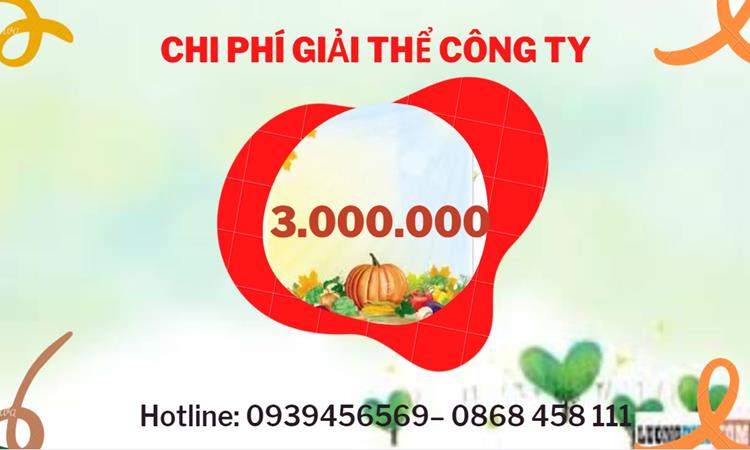 Dịch vụ giải thể công ty tại Huyện Vĩnh Thạnh dịch vụ uy tín 