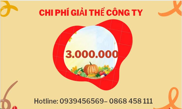 Dịch vụ giải thể công ty tại Quận Gò Vấp dịch vụ uy tín 