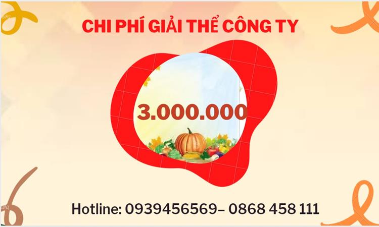 Dịch vụ giải thể công ty tại Quận Ô Môn dịch vụ uy tín 
