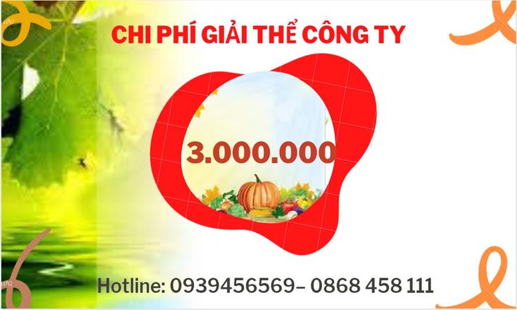 Dịch vụ giải thể công ty tại Quận Tân Bình dịch vụ uy tín 