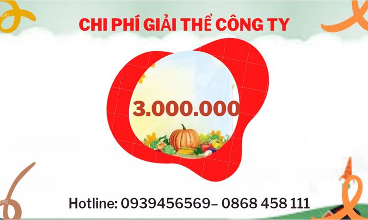 Dịch vụ giải thể công ty tại Thành Phố Cần Thơ dịch vụ uy tín 