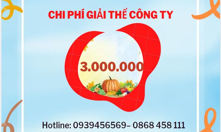 THỦ TỤC GIẢI THỂ CÔNG TY TẠI THÀNH PHỐ HUẾ DỊCH VỤ UY TÍN TỐT 5 Dịch vụ giải thể công ty tại Thành Phố Huế dịch vụ uy tín