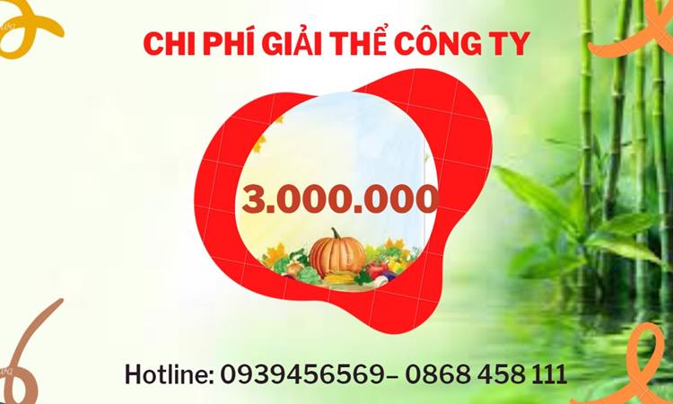 Dịch vụ giải thể công ty tại TP Hải Phòng dịch vụ uy tín 