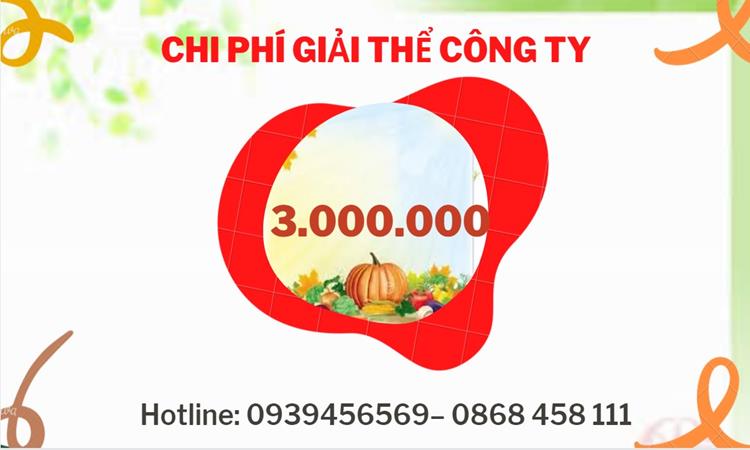 THỦ TỤC GIẢI THỂ CÔNG TY TẠI TP HỒ CHÍ MINH DỊCH VỤ UY TÍN TỐT 5 Dịch vụ giải thể công ty tại TP Hồ Chí Minh dịch vụ uy tín