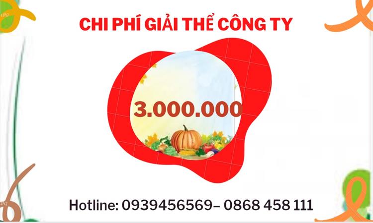 THỦ TỤC GIẢI THỂ CÔNG TY TẠI VĨNH PHÚC DỊCH VỤ UY TÍN TỐT 5 Dịch vụ giải thể công ty tại Vĩnh Phúc dịch vụ uy tín
