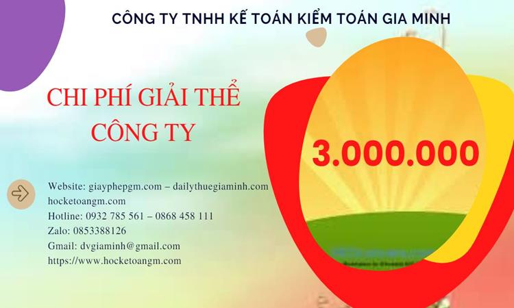 GIẢI THỂ CÔNG TY CỔ PHẦN TẠI AN GIANG TRỌN GÓI DỊCH VỤ 5 Dịch vụ giải thể doanh nghiệp cổ phần tại An Giang