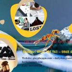 GIẢI THỂ CÔNG TY CỔ PHẦN TẠI HUYỆN BÌNH LỤC TRỌN GÓI DỊCH VỤ 6 Giải thể doanh nghiệp cổ phần tại Huyện Bình Lục