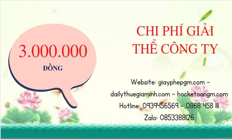 Bảng giá giải thể công ty doanh nghiệp tại Huyện Cờ Đỏ