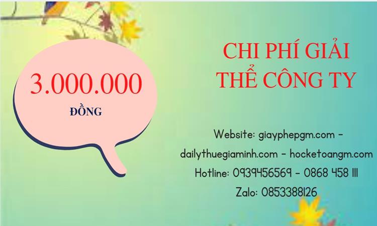 Bảng giá giải thể công ty doanh nghiệp tại Huyện Thới Lai