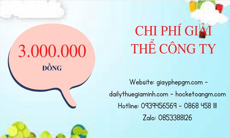 Bảng giá giải thể công ty doanh nghiệp tại Huyện Vĩnh Thạnh