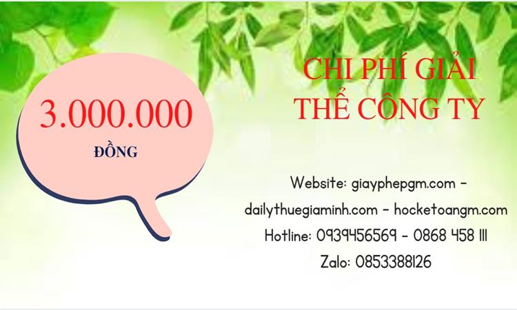 Bảng giá giải thể công ty doanh nghiệp tại Quận Thủ Đức