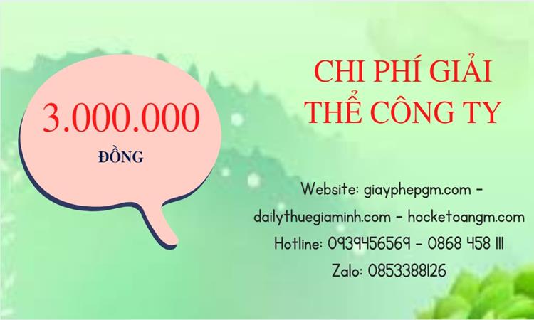 Bảng giá giải thể công ty doanh nghiệp tại Thành Phố Cần Thơ