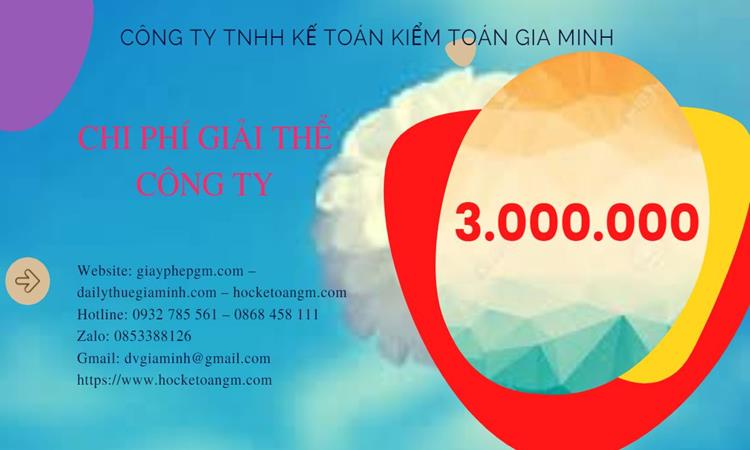 GIẢI THỂ CÔNG TY TẠI KIÊN GIANG DỊCH VỤ GIÁ RẺ TRỌN GÓI 5 Bảng giá giải thể công ty tại Kiên Giang