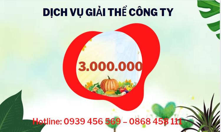 Bảng giá giải thể công ty uy tín trọn gói tại Bình Định
