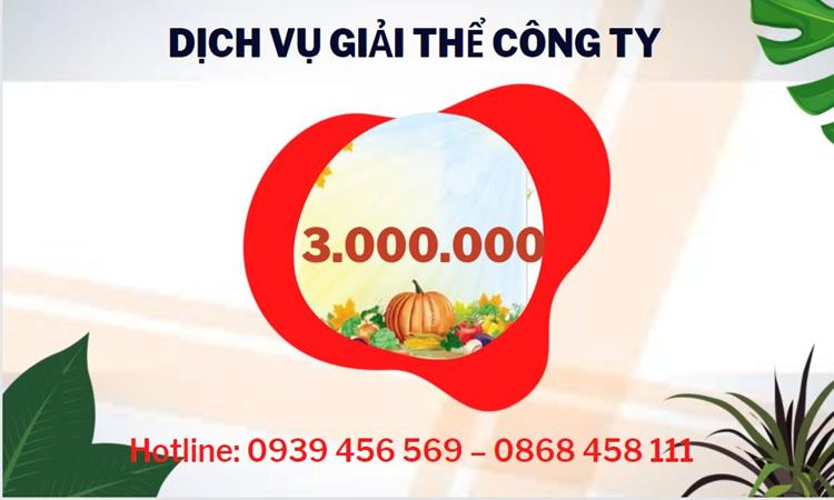 Bảng giá giải thể công ty uy tín trọn gói tại Lâm Đồng