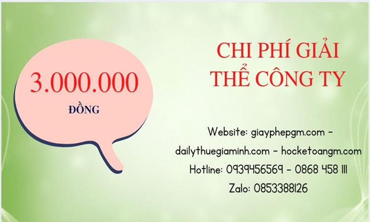 Chi phí giải thể công ty tại Hòa Bình uy tín đảm bảo