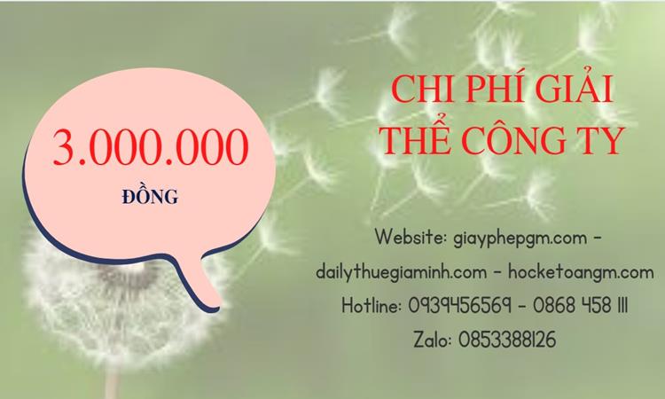 Chi phí giải thể công ty tại Thành phố Hải Phòng uy tín đảm bảo