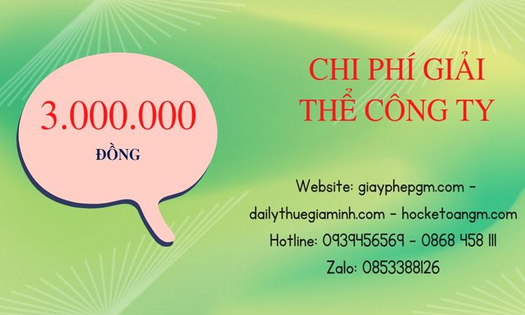 Chi phí giải thể công ty tại Thành Phố Hồ Chí Minh uy tín đảm bảo