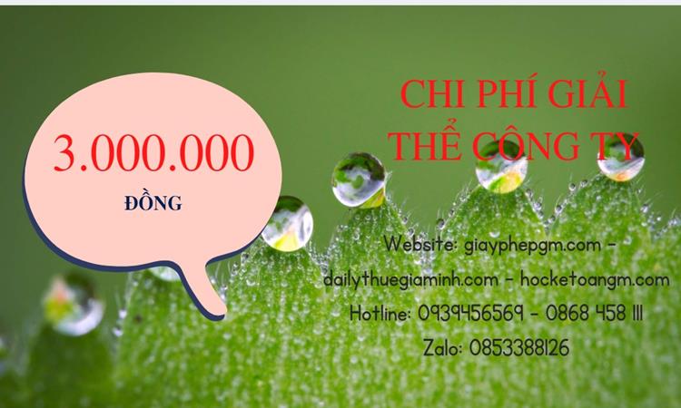 GIẢI THỂ CÔNG TY TẠI TP HÀ NỘI TRỌN GÓI ĐÚNG LUẬT UY TÍN 5 Chi phí giải thể công ty tại TP Hà Nội trọn gói uy tín
