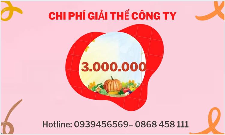 GIẢI THỂ CÔNG TY TẠI ĐIỆN BIÊN TRỌN GÓI ĐẢM BẢO TỐT NHẤT 5 Chi phí giải thể công ty trọn gói tại Điện Biên