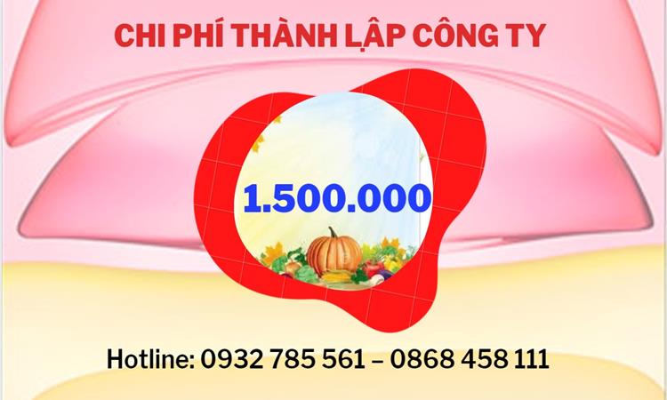Chi phí mở công ty xuất khẩu đồ thủ công mỹ nghệ tại Huyện Bình Chánh