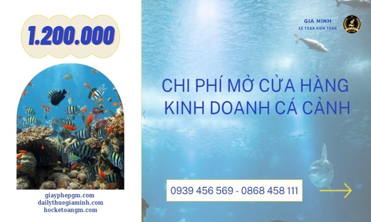 Thủ tục thành lập cửa hàng kinh doanh cá cảnh 5 Chi phí mở cửa hàng kinh doanh cá cảnh