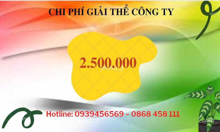 Đăng ký giải thể chi nhánh ở Ninh Bình