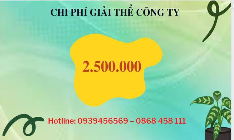 Đăng ký giải thể chi nhánh ở Quận Tân Bình