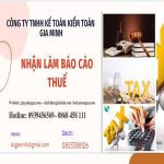 NHẬN LÀM BÁO CÁO THUẾ HÀNG THÁNG GIÁ RẺ TẠI HUYỆN THANH OAI 14 Dịch vụ báo cáo thuế hàng tháng giá rẻ tại Huyện Thanh Oai
