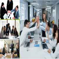 Dịch vụ giải thể chi nhánh công ty cổ phần tại Thành phố Hải Phòng
