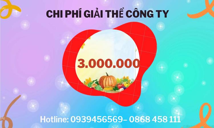  Giải thể công ty cổ phần tại Đà Nẵng hết bao nhiêu tiền
