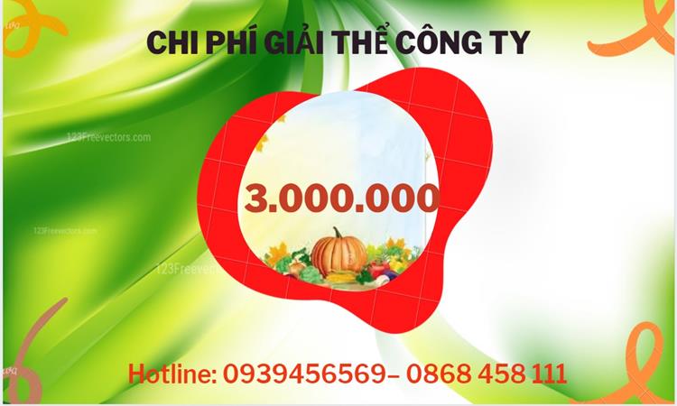 Giải thể công ty cổ phần tại Hải Phòng hết bao nhiêu tiền