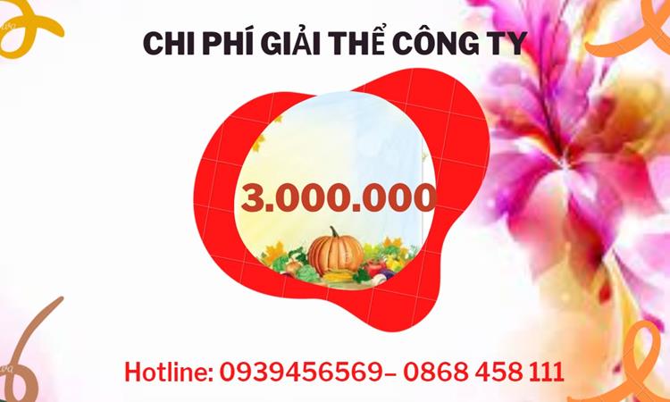  Giải thể công ty cổ phần tại Huyện Bình Lục hết bao nhiêu tiền
