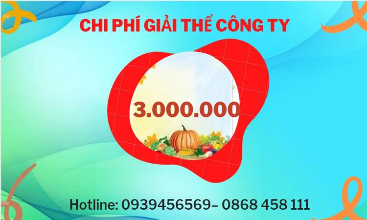  Giải thể công ty cổ phần tại Huyện Lý Nhân hết bao nhiêu tiền