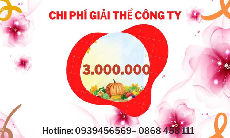 Giải thể công ty cổ phần tại Huyện Thanh Liêm hết bao nhiêu tiền