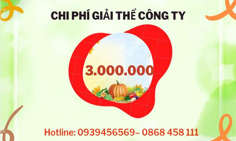  Giải thể công ty cổ phần tại Huyện Thới Lai hết bao nhiêu tiền