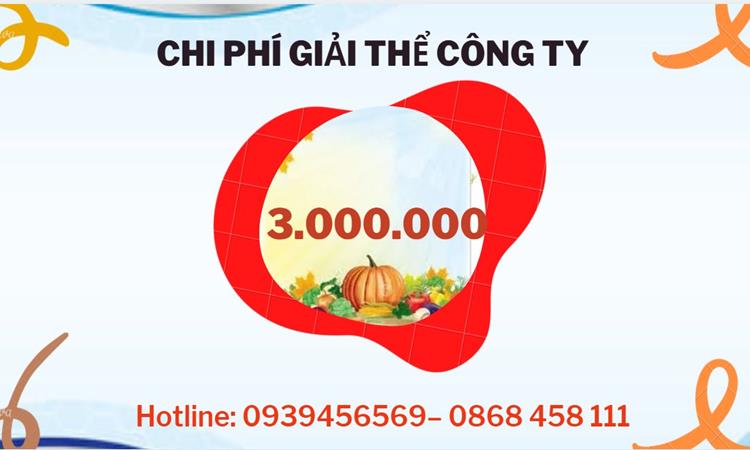  Giải thể công ty cổ phần tại Huyện Vĩnh Thạnh hết bao nhiêu tiền