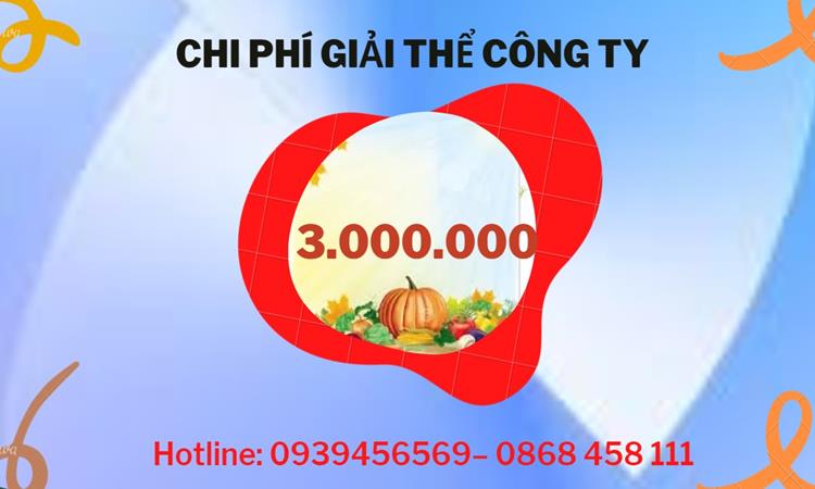  Giải thể công ty cổ phần tại Lai Châu hết bao nhiêu tiền
