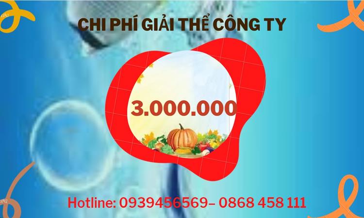  Giải thể công ty cổ phần tại Nam Định hết bao nhiêu tiền