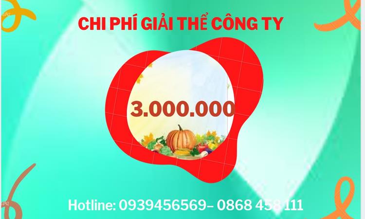 Giải thể công ty cổ phần tại Quảng Trị hết bao nhiêu tiền