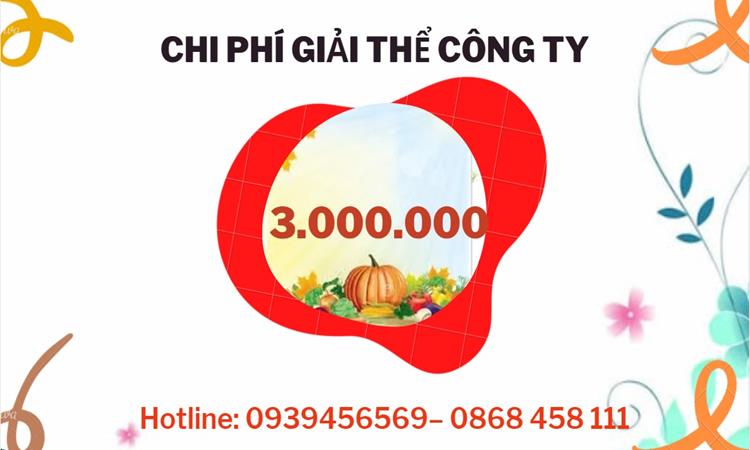  Giải thể công ty cổ phần tại Thành Phố Cần Thơ hết bao nhiêu tiền