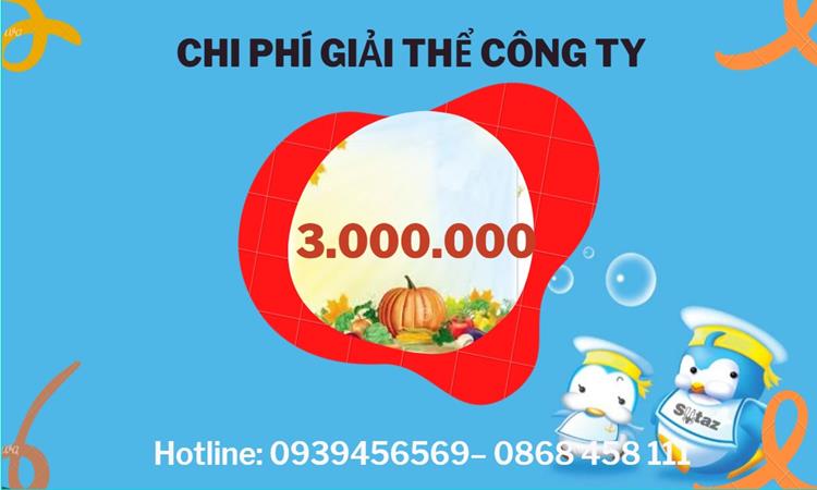 Giải thể công ty cổ phần tại Thành Phố Đà Nẵng hết bao nhiêu tiền