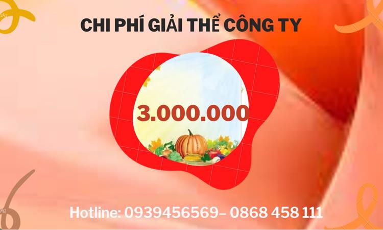  Giải thể công ty cổ phần tại Tiền Giang hết bao nhiêu tiền