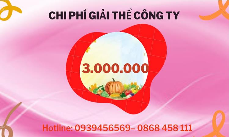  Giải thể công ty cổ phần tại TP Hải Phòng hết bao nhiêu tiền