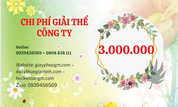  Giải thể công ty cổ phần tại TP Hồ Chí Minh hết bao nhiêu tiền