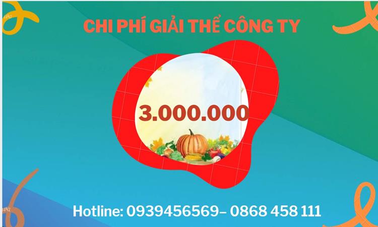  Giải thể công ty cổ phần tại Vũng Tàu hết bao nhiêu tiền