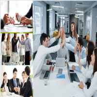 Hướng dẫn giải thể chi nhánh công ty cổ phần tại Quận Tân Phú
