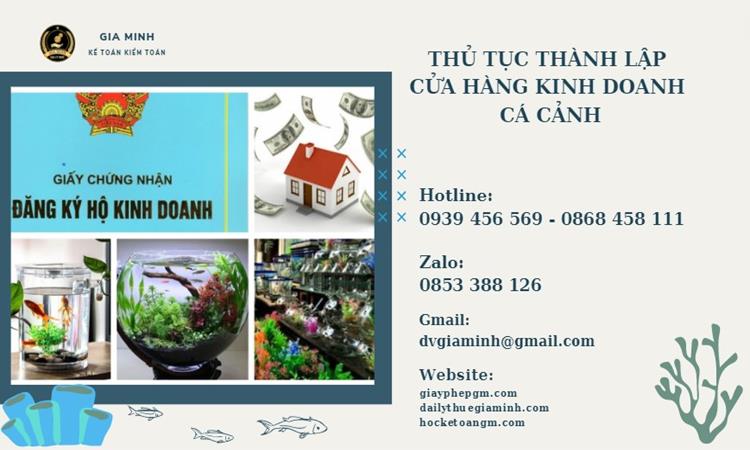 Thủ tục thành lập cửa hàng kinh doanh cá cảnh 4 Hướng dẫn mở cửa hàng kinh doanh cá cảnh