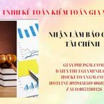 Nhận làm báo cáo tài chính ở Lâm Đồng 