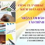 Nhận làm báo cáo tài chính ở Ninh Thuận 